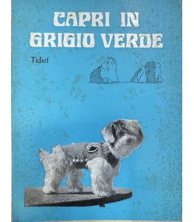 Capri in grigio verde.