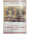 Le chiese di S. Aniello e di S. Lucia in Quindici.