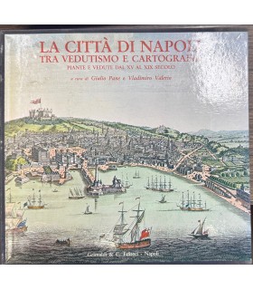 La città di Napoli tra vedutismo e cartografia.