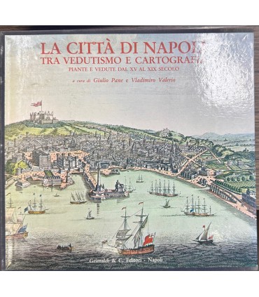 La città di Napoli tra vedutismo e cartografia.