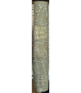 Teverino un Vero Amore