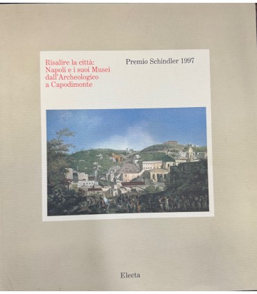 Risalire la città: Napoli e i suoi Musei dall'Archeologico a Capodimonte.