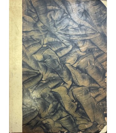 Un'ala e un'anima Tomaso dal Molin.