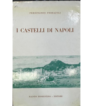 I castelli di Napoli.