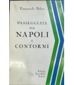 Passeggiata per Napoli e contorni.