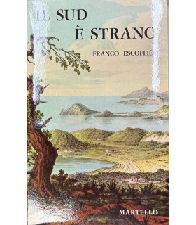 Il sud è strano.