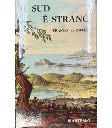 Il sud è strano.