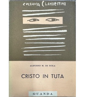 Cristo in tuta.