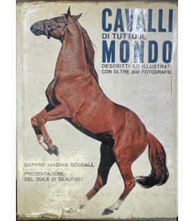 Cavalli di tutto il mondo.