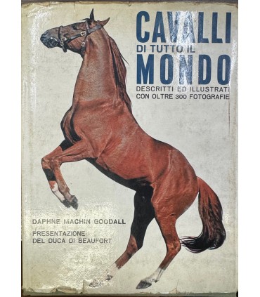 Cavalli di tutto il mondo.