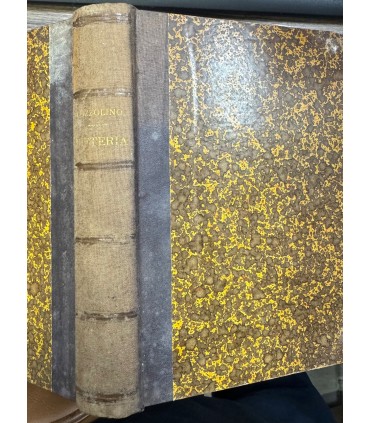 Trattato della difteria.