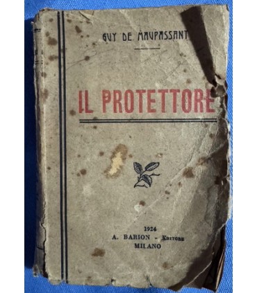 Il protettore.