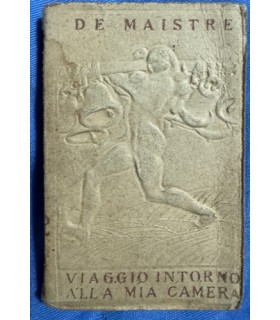 Viaggio intorno alla mia camera.