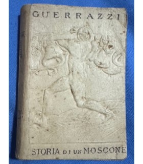 Storia di un moscone.