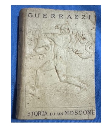 Storia di un moscone.