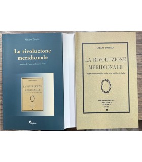 La rivoluzione meridionale.