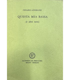 Questa mia bassa (e altre terre).