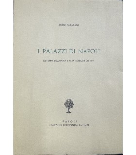 I palazzi di Napoli.