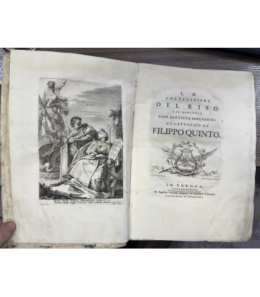 La coltivazione del riso del marchese Gian Battista Spolverini al cattolico re Filippo Quinto.