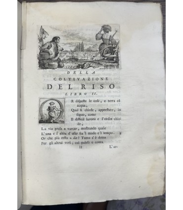 La coltivazione del riso del marchese Gian Battista Spolverini al cattolico re Filippo Quinto.