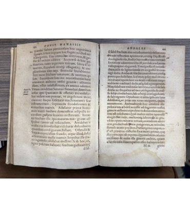 Annales Graecè ae Latinè