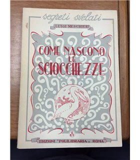 Come nascono le sciocchezze