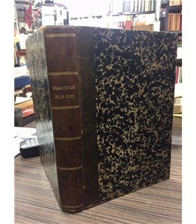 Raccolta generale sistematica di tutta la legislazione vigente nel Regno d'Italia