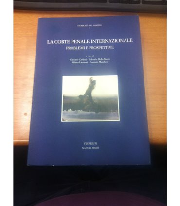 La corte penale internazionale. Problemi e prospettive