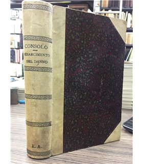 Trattato sul risarcimento del danno in materia di delitti e quasi delitti