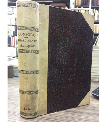 Trattato sul risarcimento del danno in materia di delitti e quasi delitti