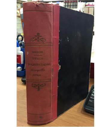 Nuovi studi e questioni di diritto civile