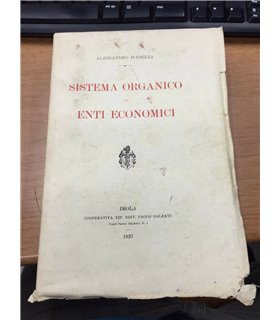 Sistema organico di Enti Economici