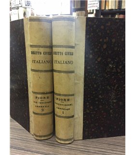 Delle disposizioni generali sulla pubblicazione, applicazione ed interpretazione delle leggi