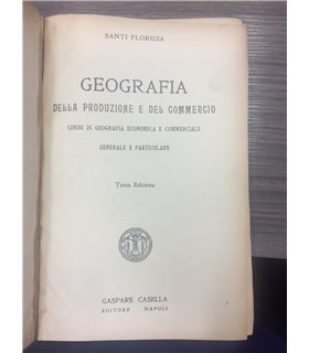Geografia della produzione e del commercio