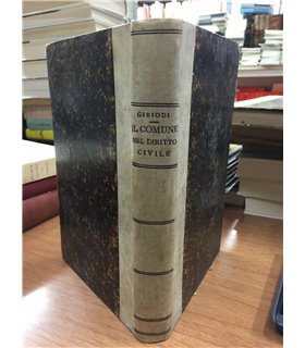 Il comune nel diritto civile