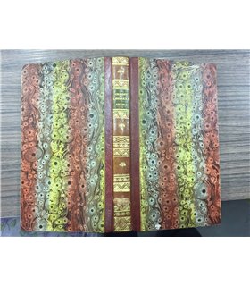 Quadro della legislazione antica sulle successioni e della novella