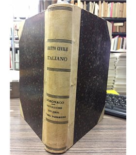 Della distinzione dei beni di possesso