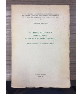 La sifda economica dell'Europa passa per il mediterraneo