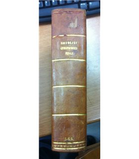 Della giurisprudenza penale