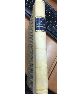 I sindacati industriali. Cartelli e gruppi