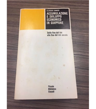 Accumulazione e sviluppo economico in Giappone