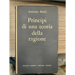 Principi di una teoria della ragione