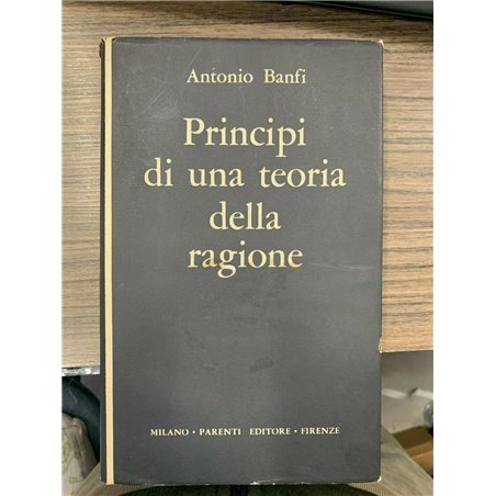 Principi di una teoria della ragione