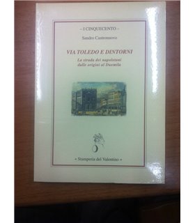 Via Toledo e dintorni. La strada dei napoletani delle origini al duemila