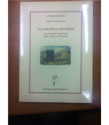 Via Toledo e dintorni. La strada dei napoletani delle origini al duemila