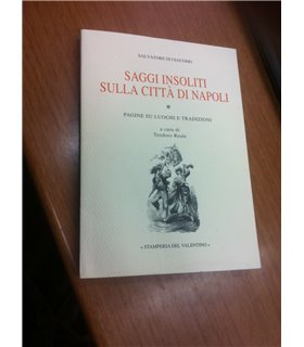 Saggi insoliti sulla città di Napoli