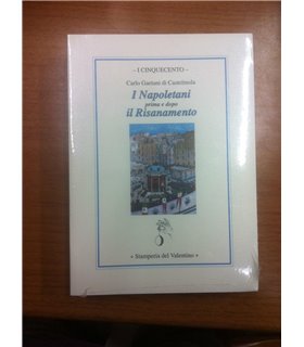 I Napoletani prima e dopo il Risanamento