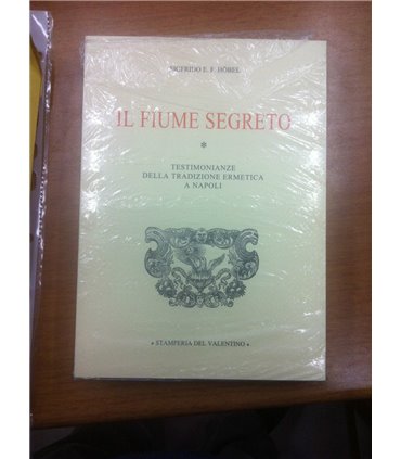 Il fiume segreto. Testimonianze ermetica a Napoli