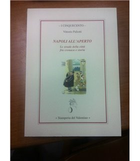 Napoli all'aperto. Le strade della città fra cronaca e storia
