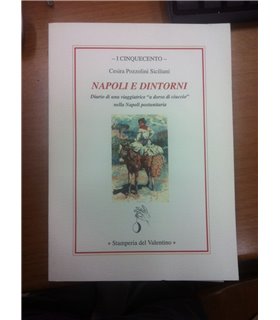 Napoli e dintorni